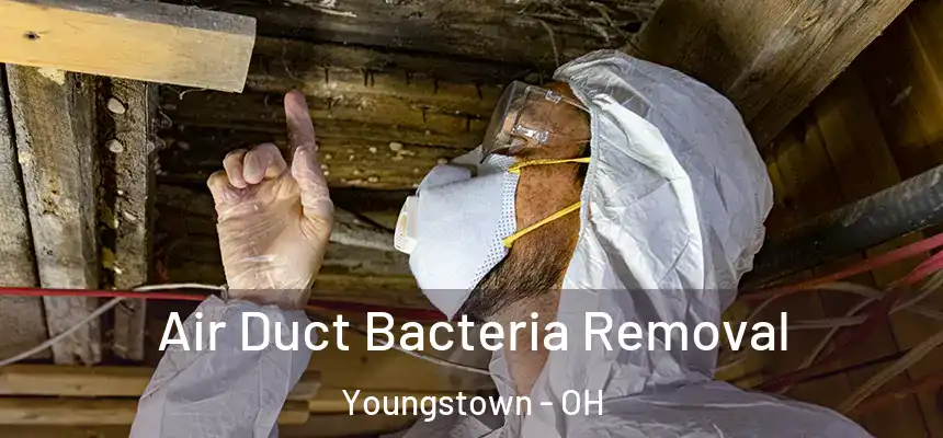  Air Duct Bacteria Removal Youngstown - OH