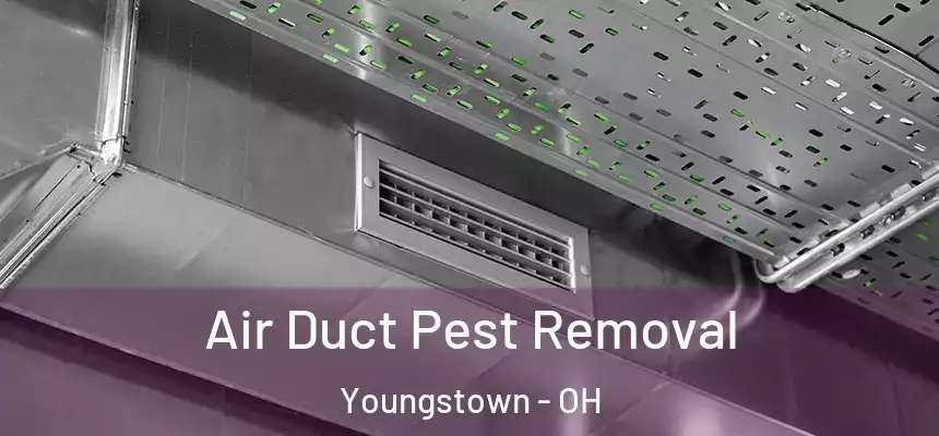 Air Duct Pest Removal Youngstown - OH
