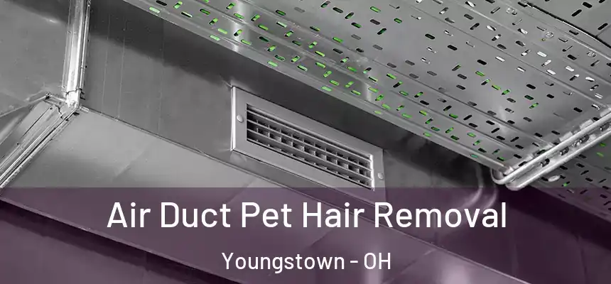 Air Duct Pet Hair Removal Youngstown - OH