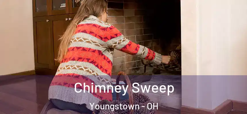 Chimney Sweep Youngstown - OH