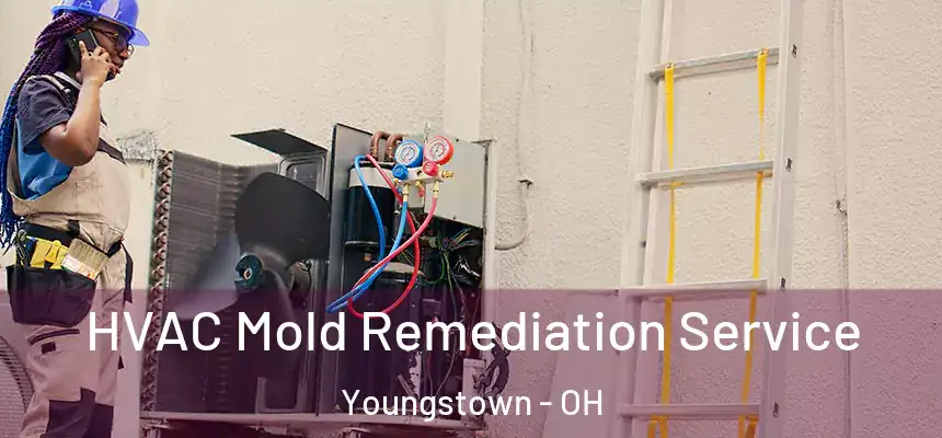 HVAC Mold Remediation Service Youngstown - OH