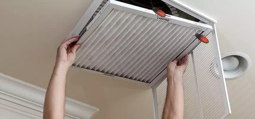 Preventive Cockroach-Proofing for Ducts in Youngstown