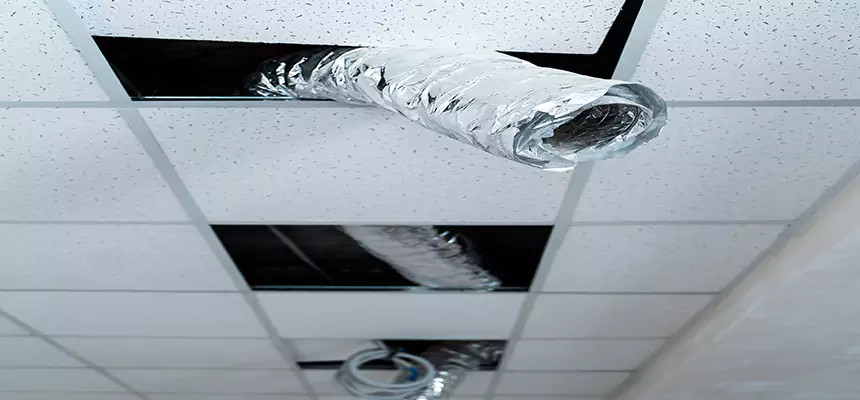 Our Air Duct Pet Hair Removal Services in Youngstown, OH