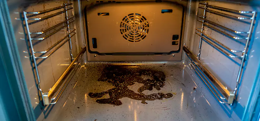 Our Dryer Vent Mold Cleaning Services in Youngstown, OH