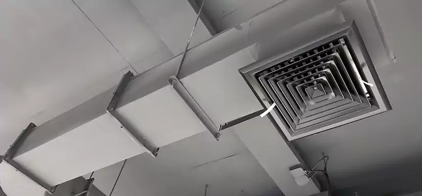 Our Pest Removal From Ducts Services in Youngstown, OH