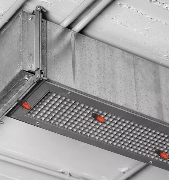 About Air Duct Cockroach Removal in Youngstown, OH