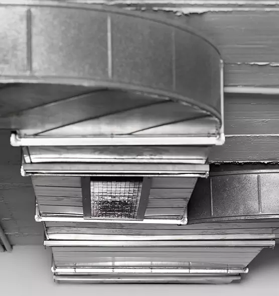 Professional Air Duct Pest Removal in Youngstown, OH