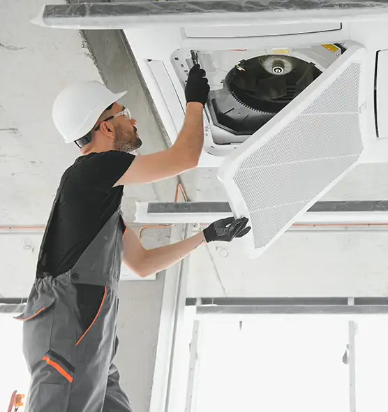 About Air Duct Rodent Removal in Youngstown, OH