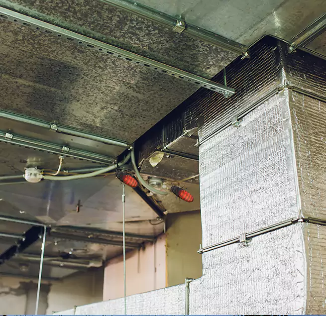 Why Homeowners & Businesses Trust Us in Youngstown, OH?