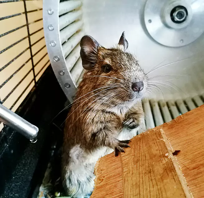 Why Homeowners & Businesses Trust Us Youngstown, OH